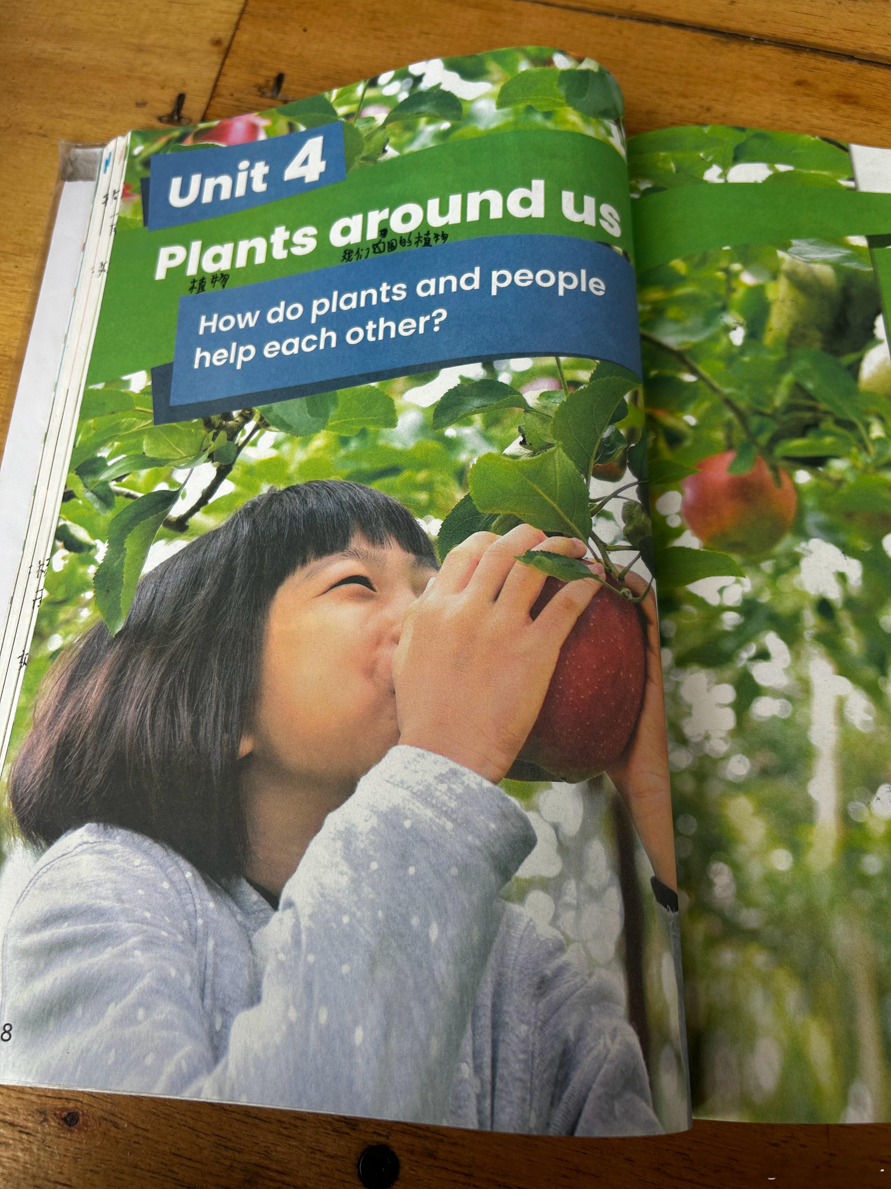 在集市吃米线，看到老板孩子的课本。小学三年级、第一次接触英语的孩子，在学校的课本