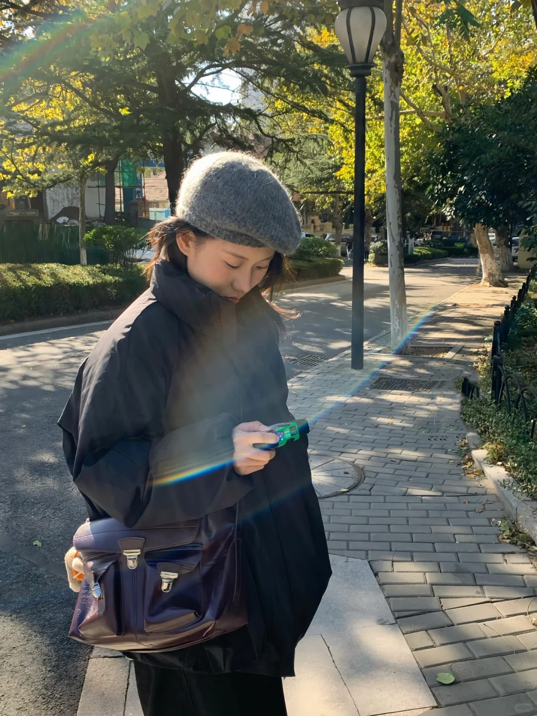 开始期待青岛的冬天