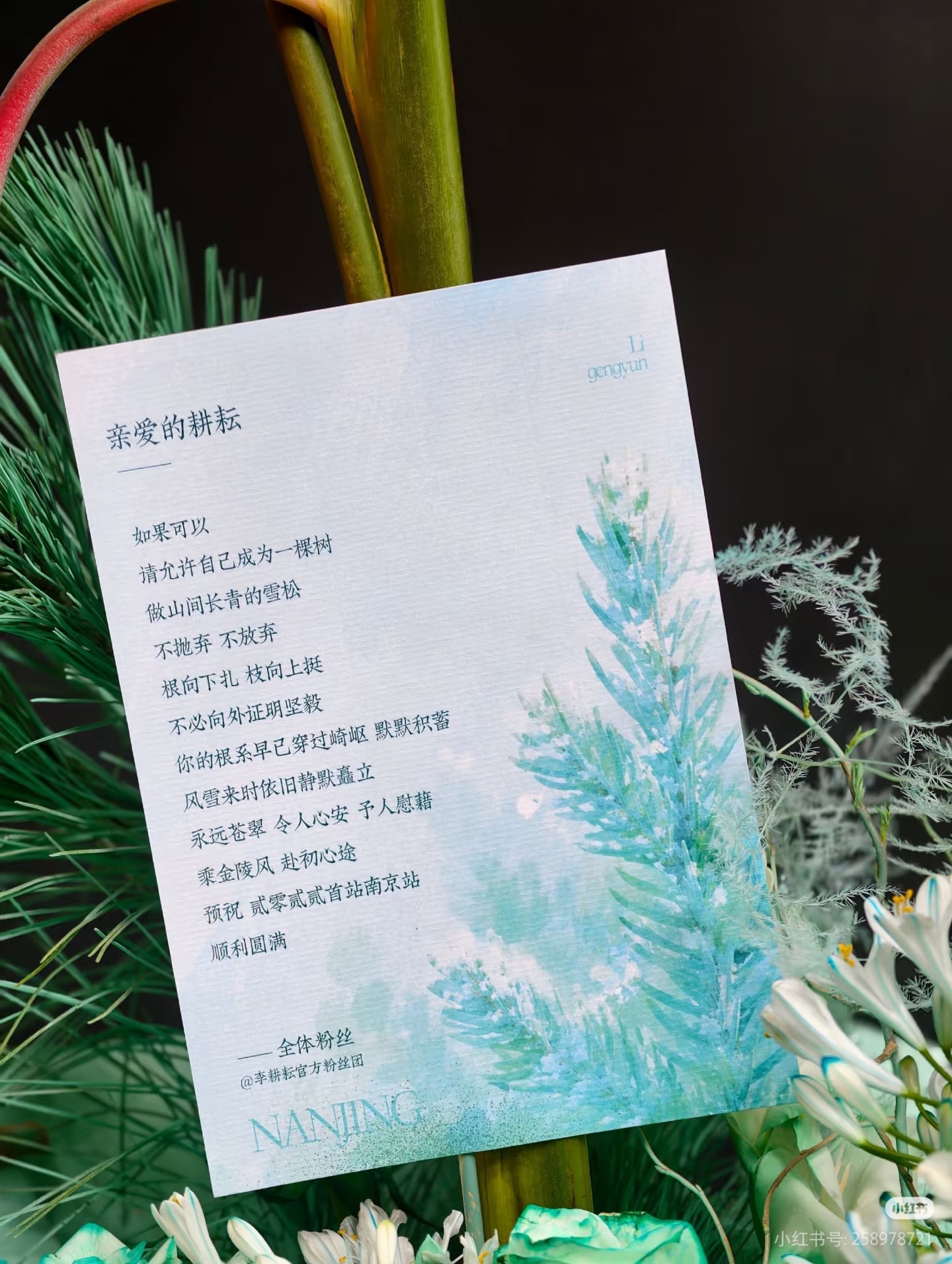 天呐，我今天才认真看老三四站花束的文案，鸟姐真的，太用心了。南京——雪松，厦门—