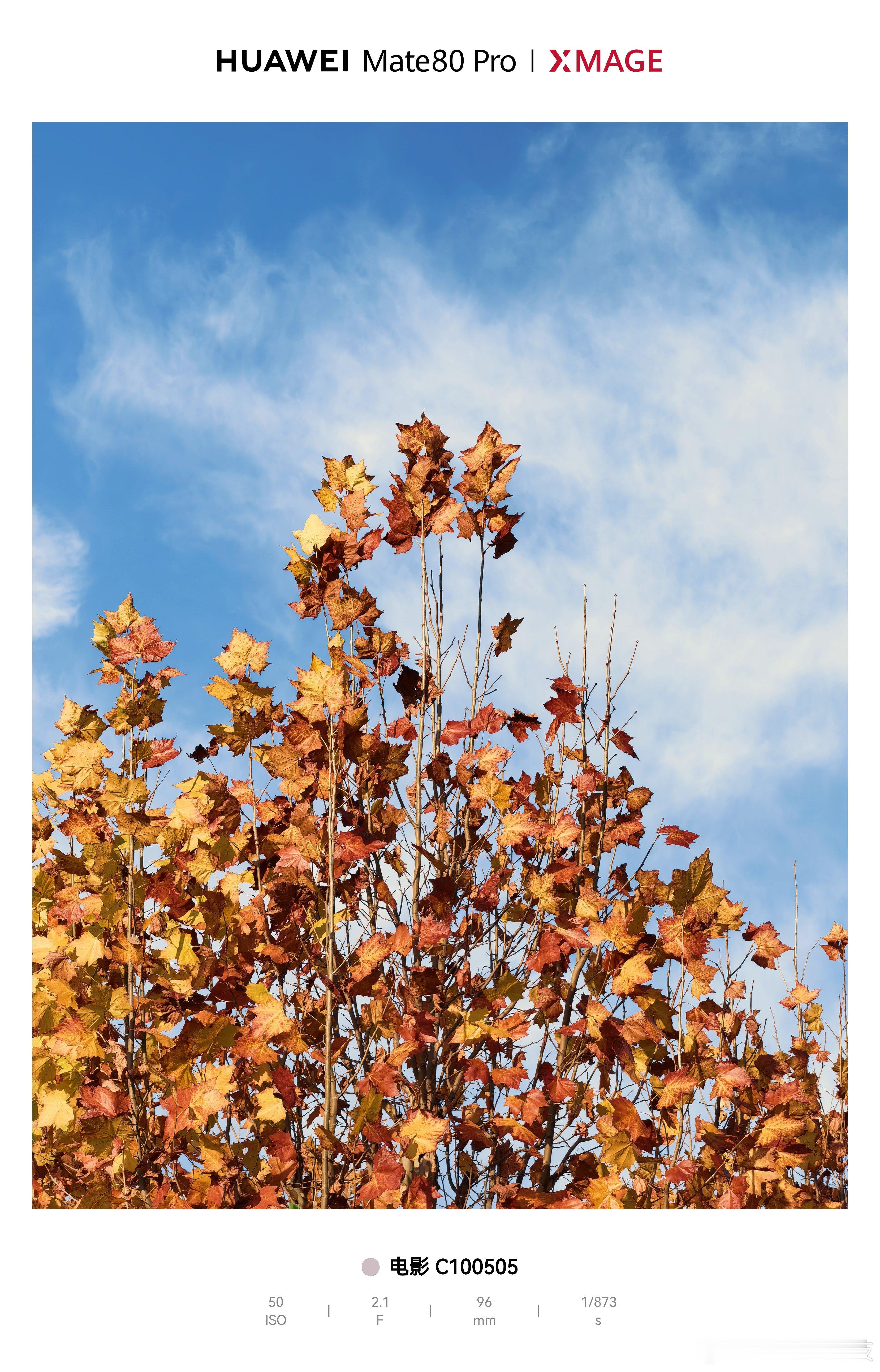 喜欢一个人最大的诚意是什么就是陪她一起看路边的风景！比如，我今天用Mate80P