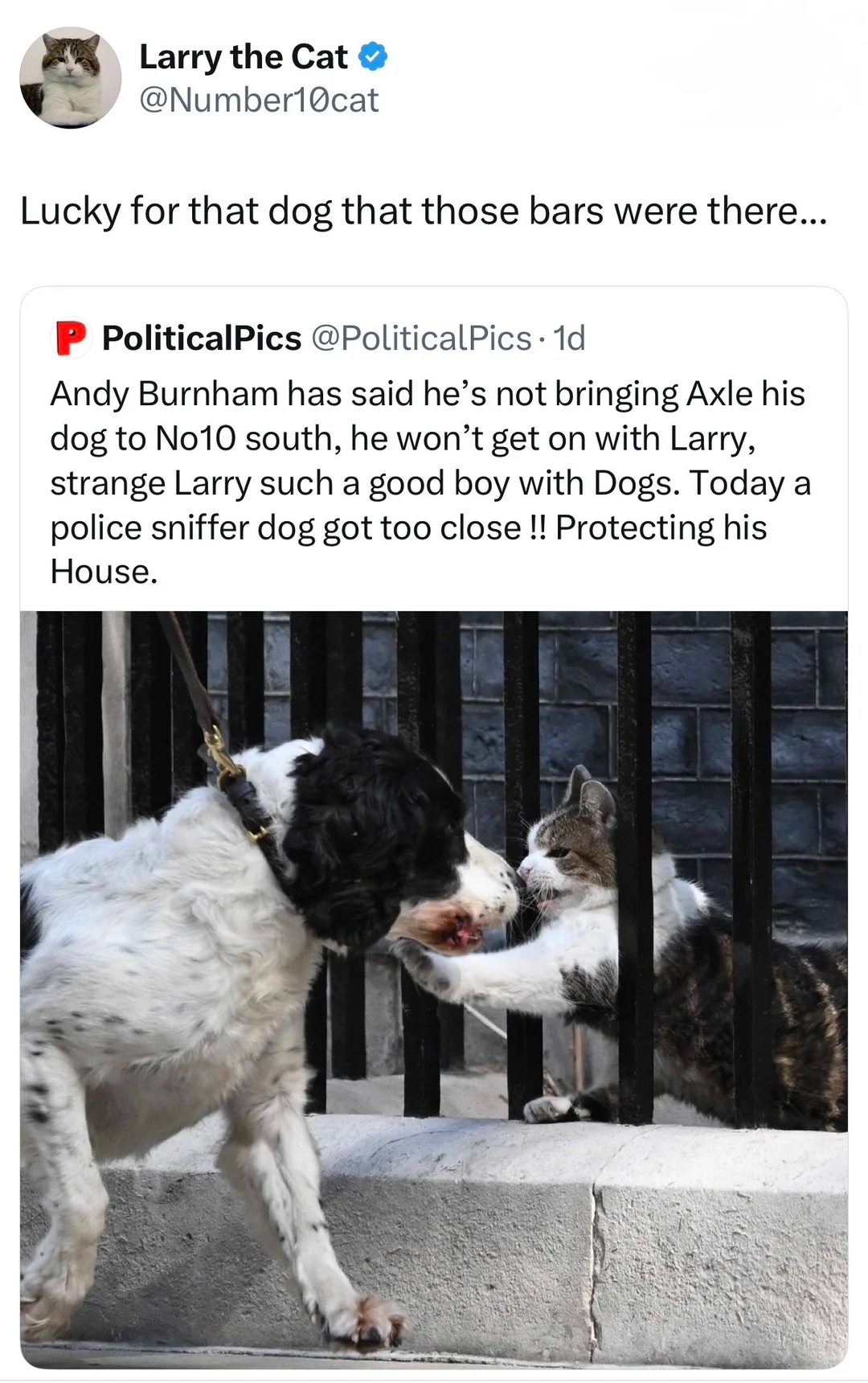 大罂新任首相安迪·伯纳姆表示他不会把爱犬阿克塞尔带到位于唐宁街的10号首相官邸，