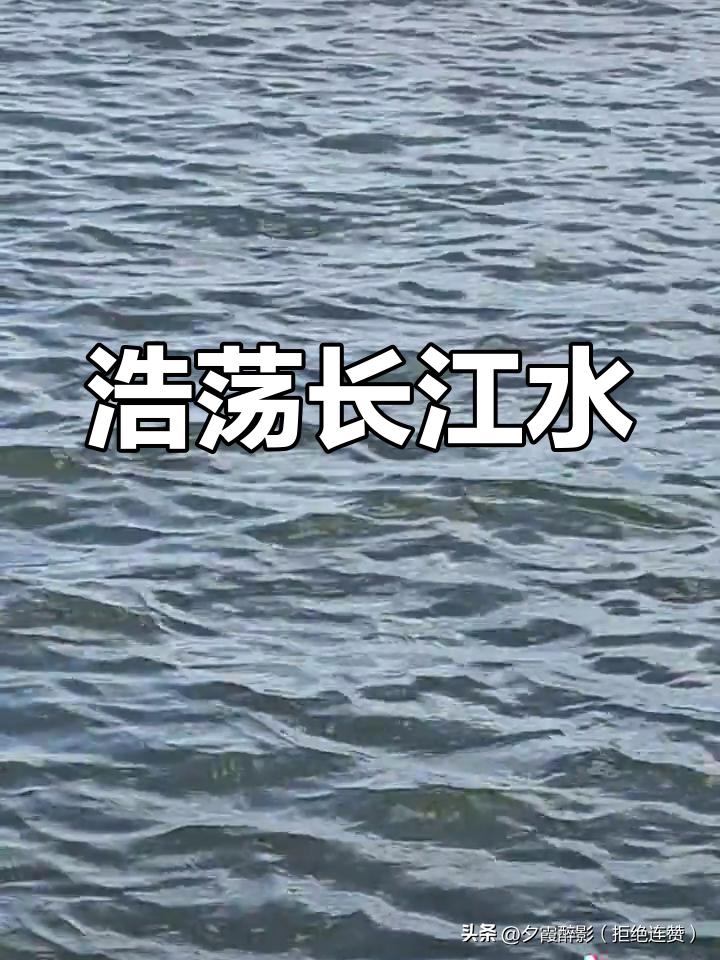 胸怀天地济苍生，气魄凌云贯古今——重读《水调歌头·游泳》感悟
 
品读毛主席“才