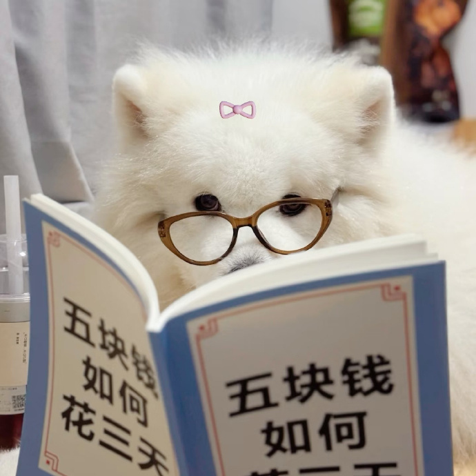 “ 心很贵，要装最美的东西，接触让你愉快的人。” 