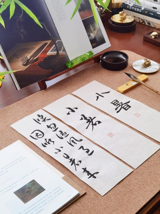 ​小暑·倏忽温风至，因循小暑来