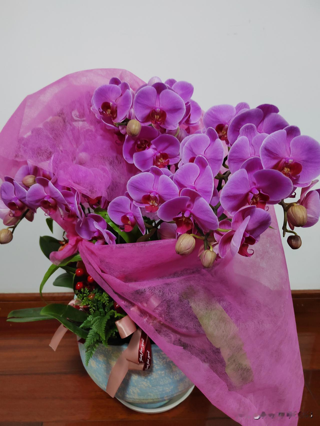 今天腊月二十六，南京市继续维持晴朗升温的好天气，方便人们出行和归家。
今天大太阳