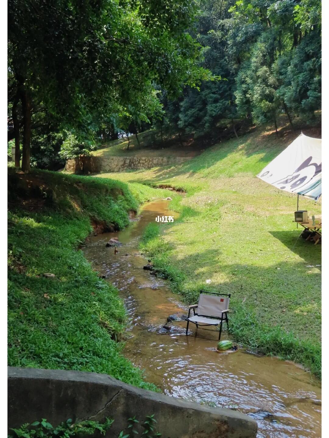 我又挖到宝了！东莞神仙玩水露营地⛺️