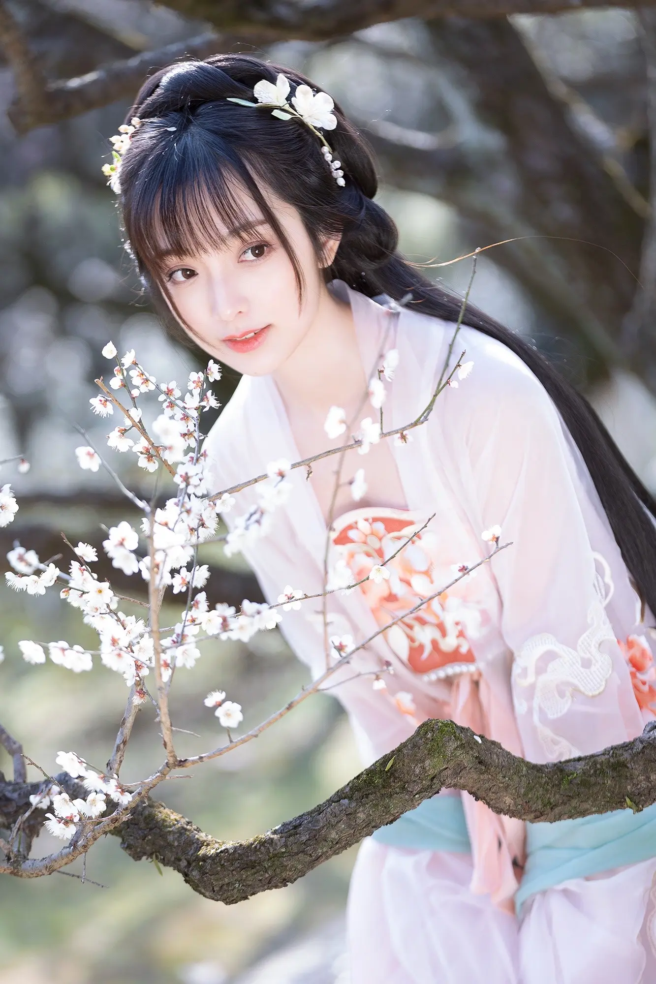 聊赠一枝春～