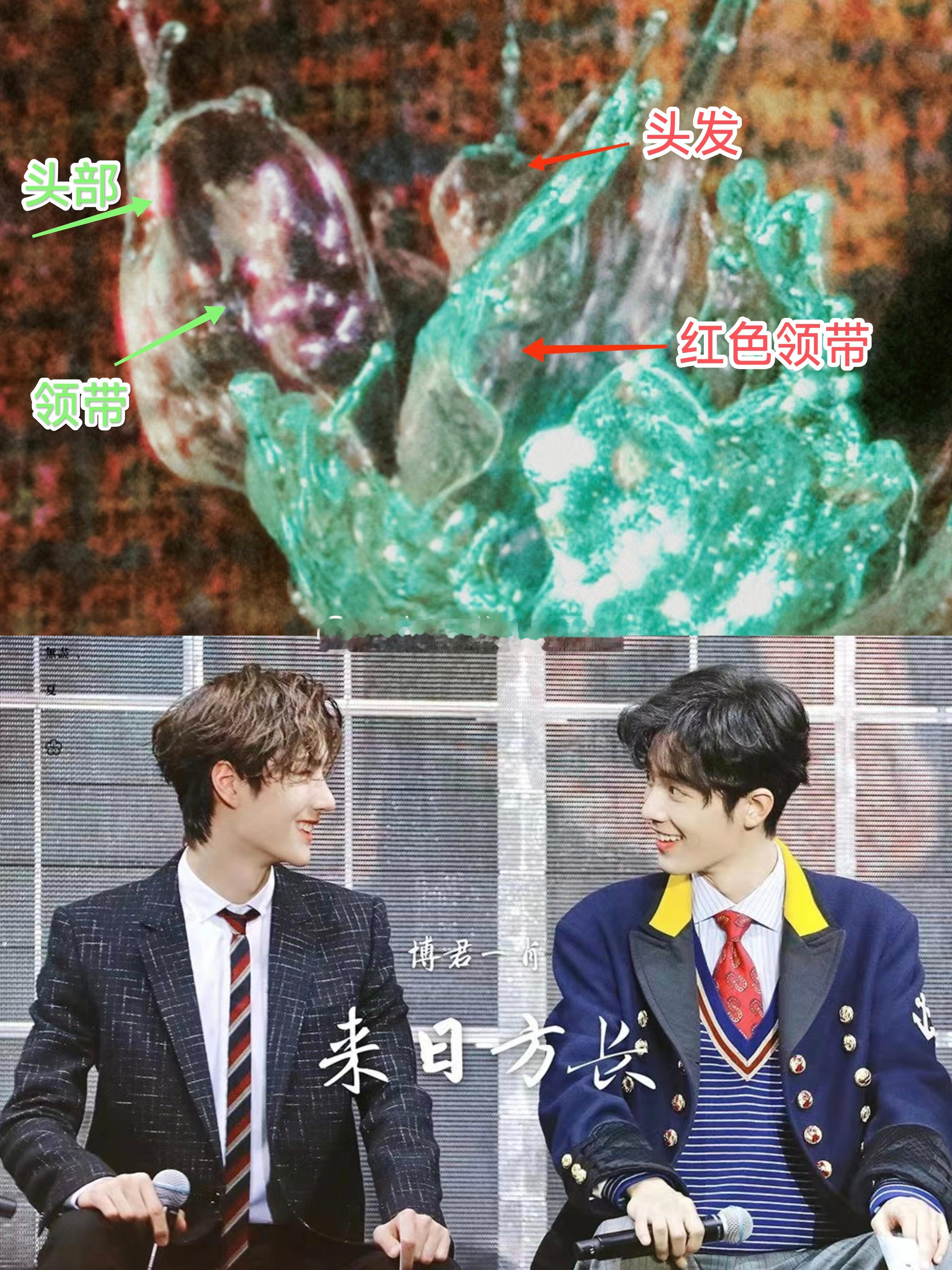 博哥永生花的溶图，是双超头像[哆啦A梦害怕][哆啦A梦害怕][哆啦A梦害怕][哆