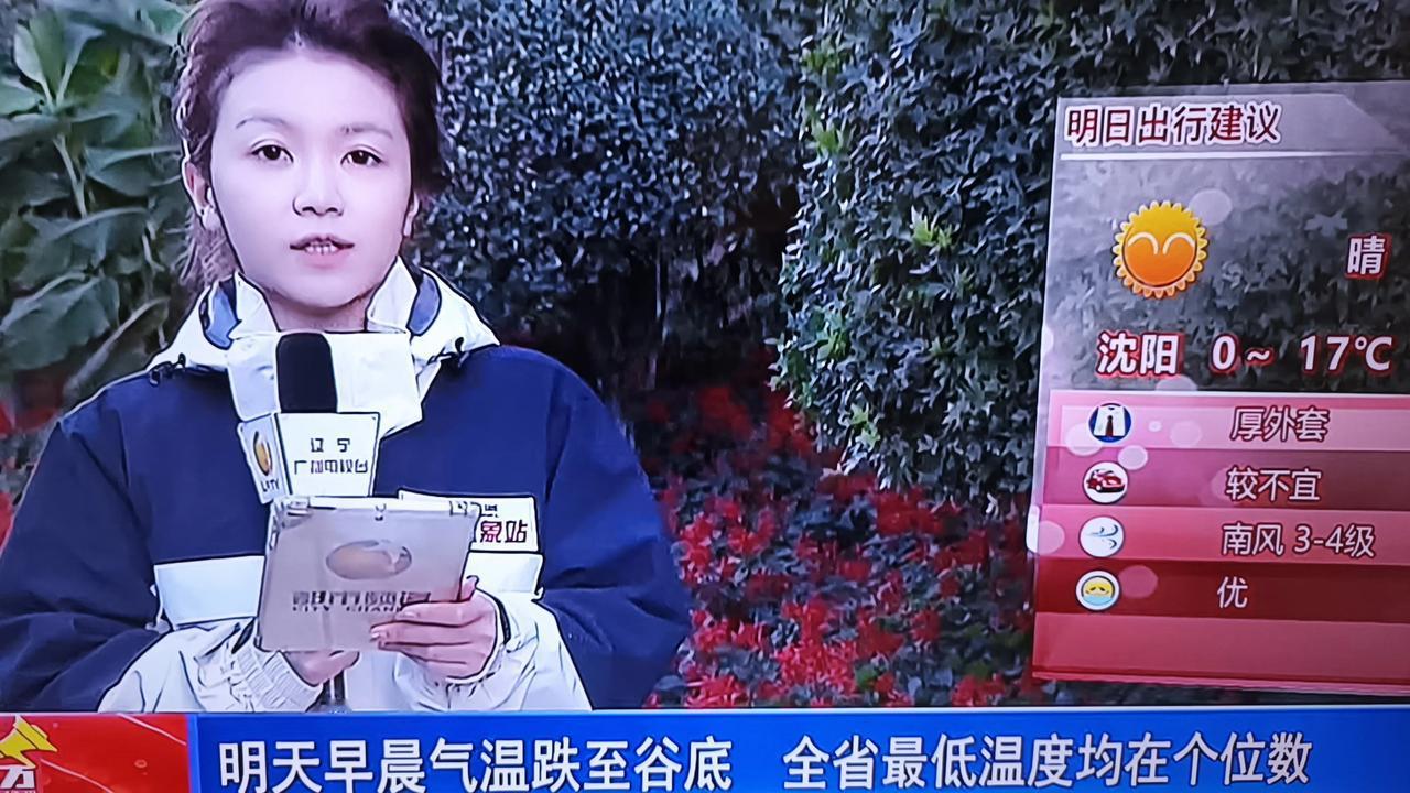 明日辽宁降温，全省最低温度均在个位数，我的城市最低温度达到冰点。请大家外出注意保
