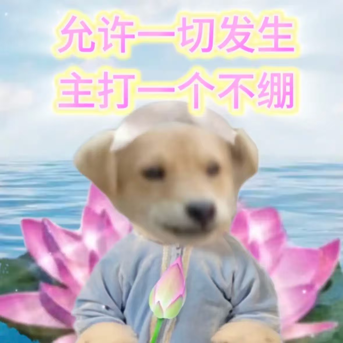 允许一切发生，主打一个不绷 ​​​