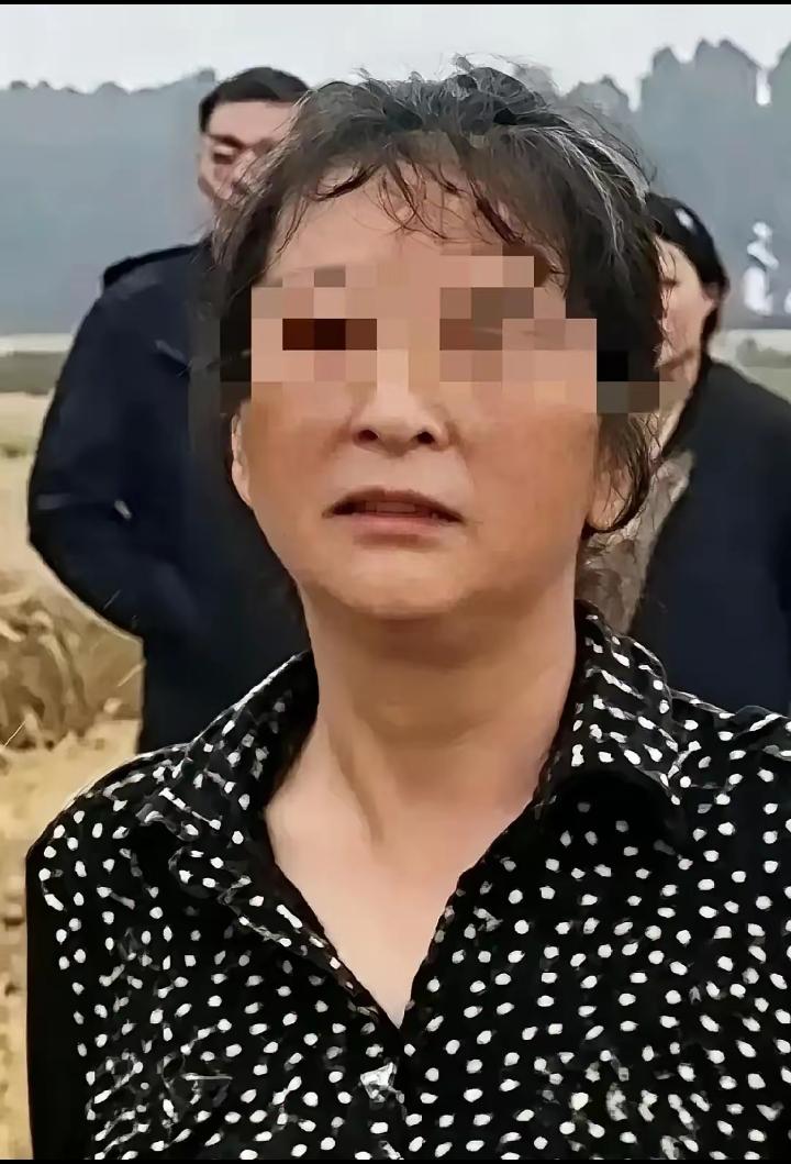 这位大妈是襄阳人民的功臣，襄阳政府应该嘉奖，仅仅一天时间，你就让全国各地的网友都