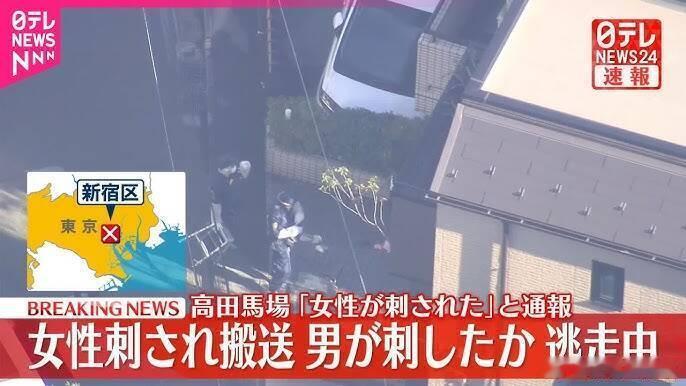 【东京发生街头持刀袭击事件！30多岁女子遭刺多刀倒地 外籍男子行凶后逃逸】海外新
