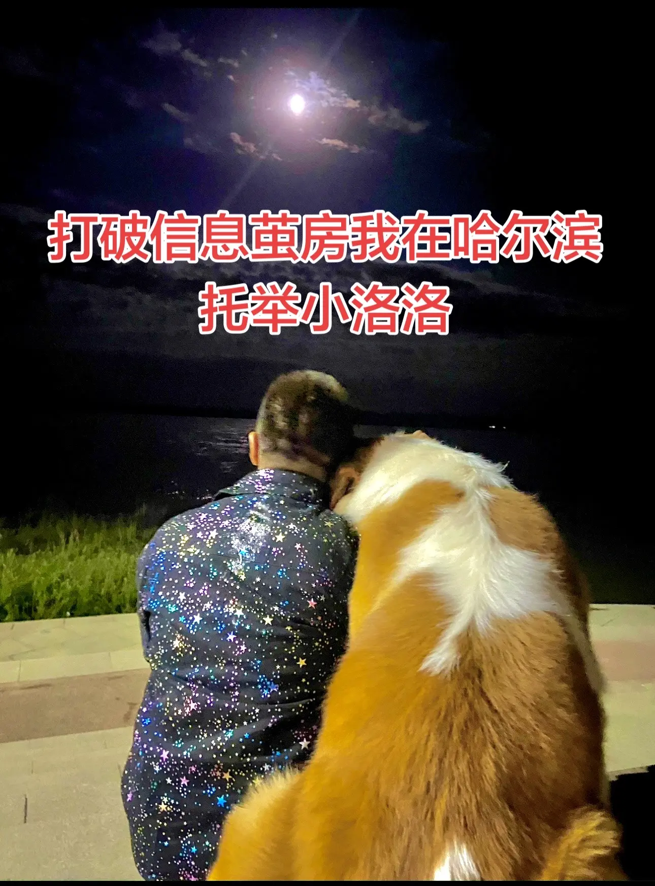 继续托举 ＃哈尔滨 ＃