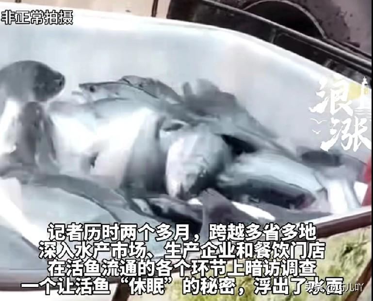 鱼护宝、鱼安宝、晕鱼王？真是第一次听说还有这些东西。

央视曝光：海鲜市场黑心商