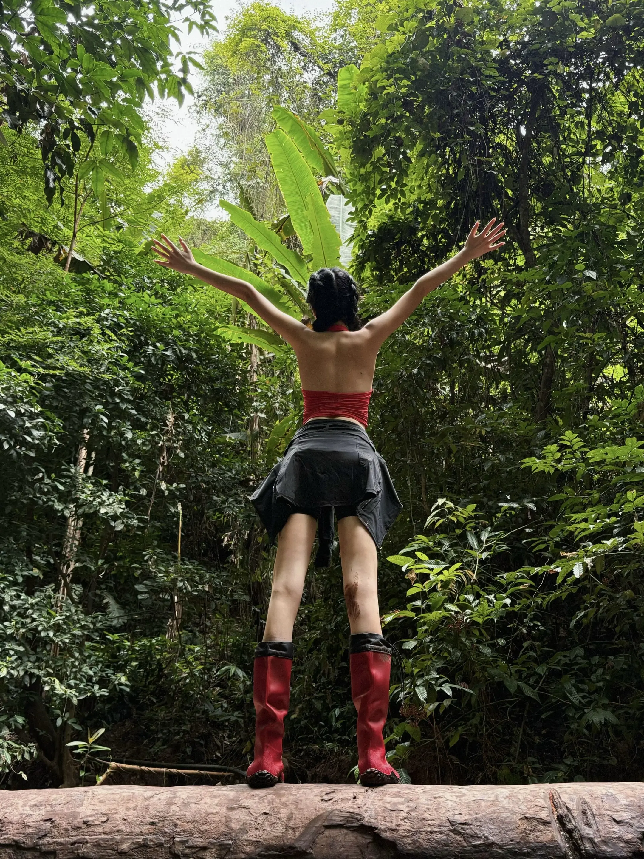 青天大老爷青天大老爷！