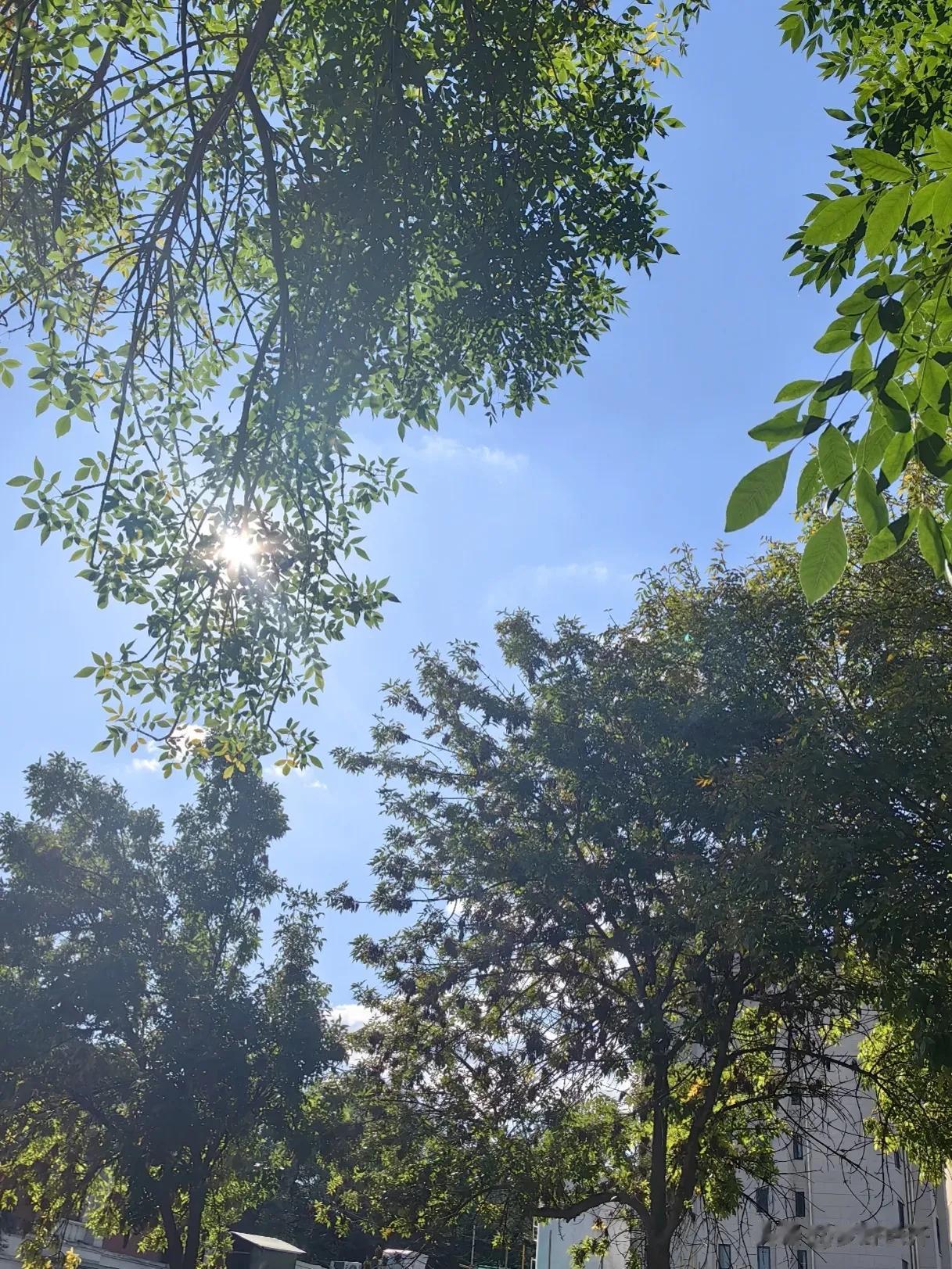 #记录我的2023#今天的天空，是多么的晴朗。

这是节后，在我所处的当地，第1