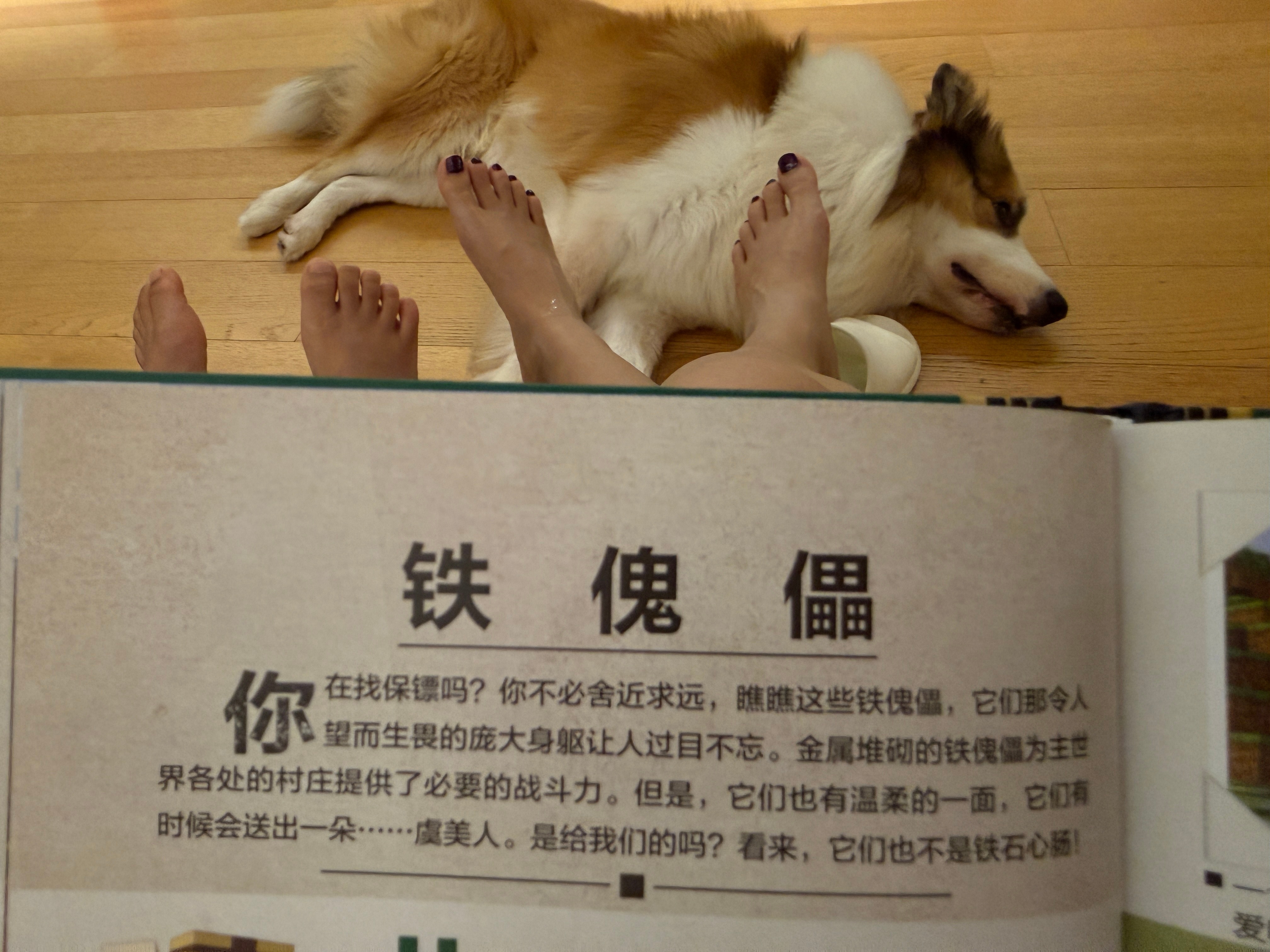 孩子沉迷电子游戏有什么不好！你看人家这个我的世界生物图鉴，短短一段话四个成语，他