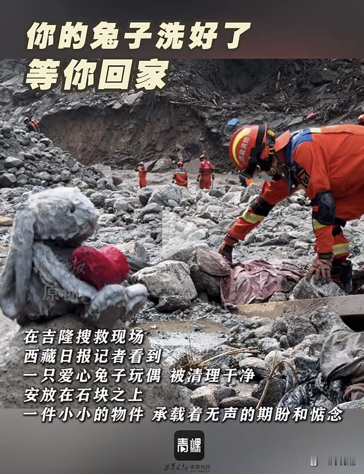 你的兔子洗好了，等你回家…

此情此景，谁不会泪目？人生之路，漫长而又短暂！
