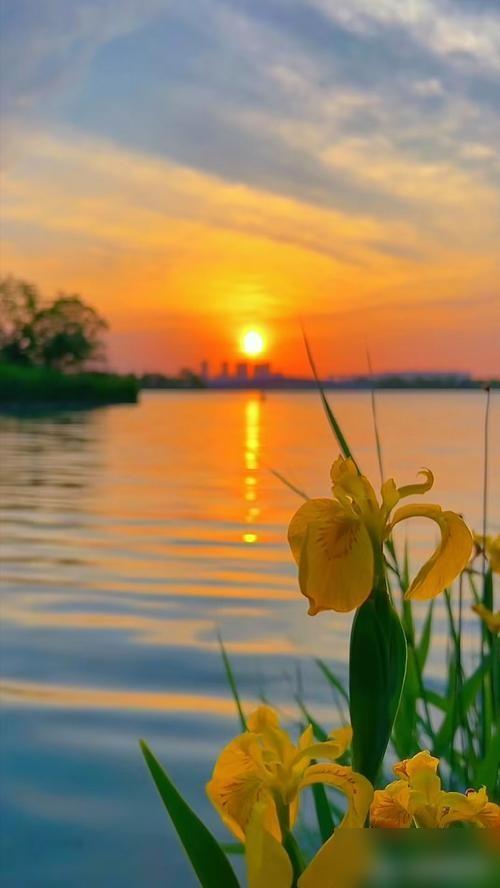 女人要学会旺自己。好看的衣服太多了。不要看见就买，好看就买。因为橱柜里的衣服，当