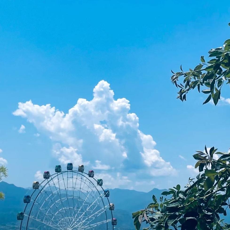 成年人的生活，大多是被忙碌填满的。
日复一日谋生、琐碎缠身、责任压肩，很多人走着