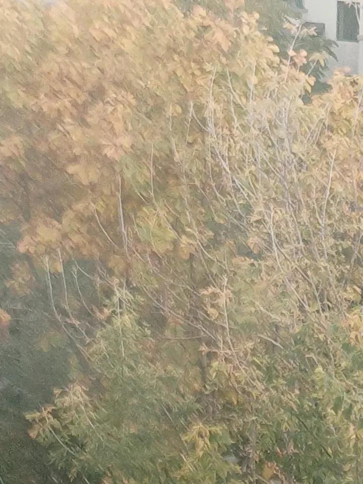 分享一张秋色的美景