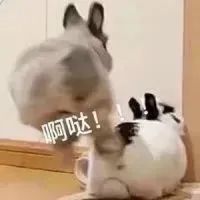 可爱又搞笑，表情包让聊天更欢乐！ 更新不易，拿图点赞[心]更多表情包请看主页[心