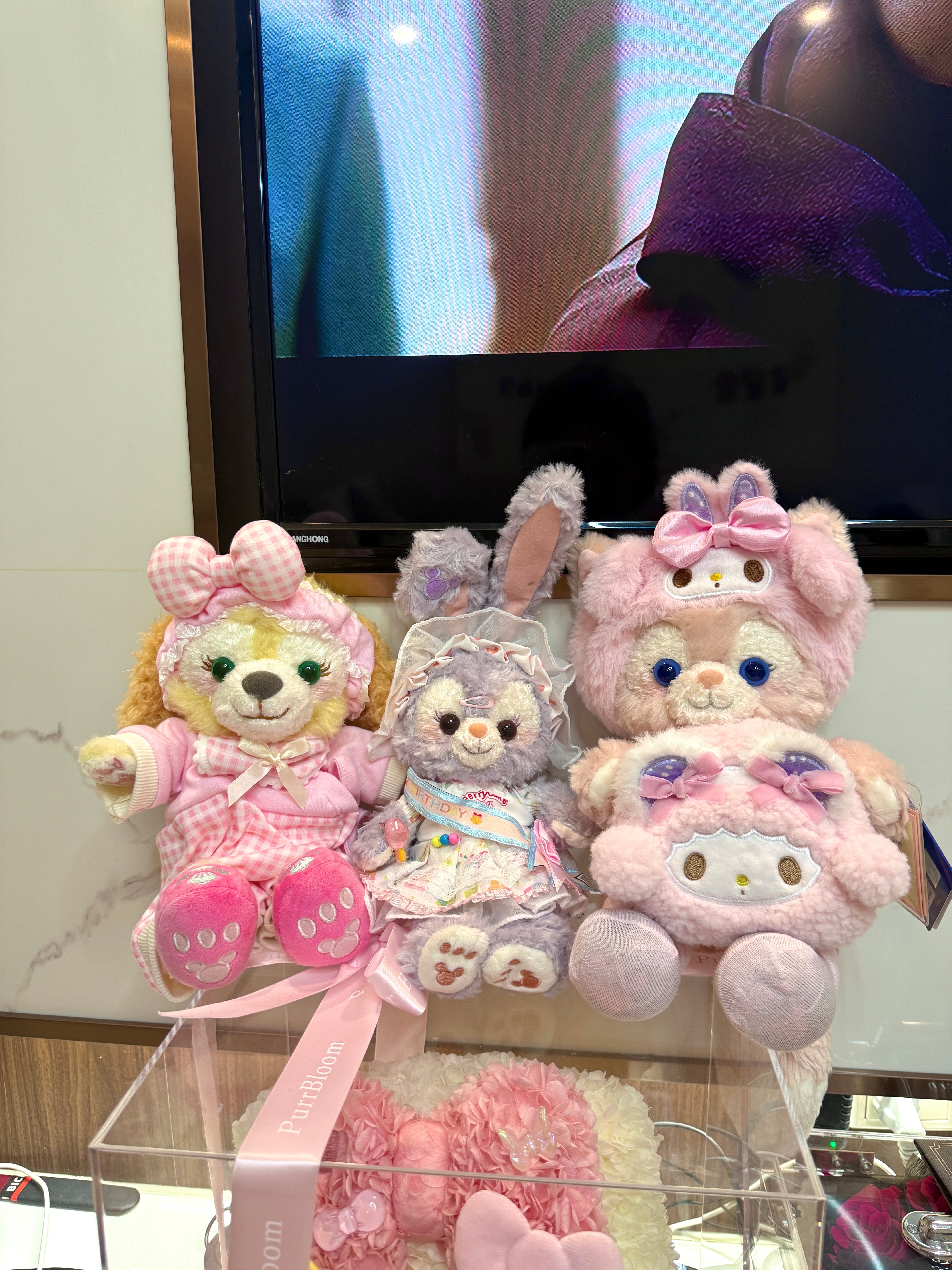 家用kitty大合集𝗛𝗲𝗹𝗹𝗼 𝗞𝗶𝘁𝘁𝘆 🎀˖֢ ♡! 