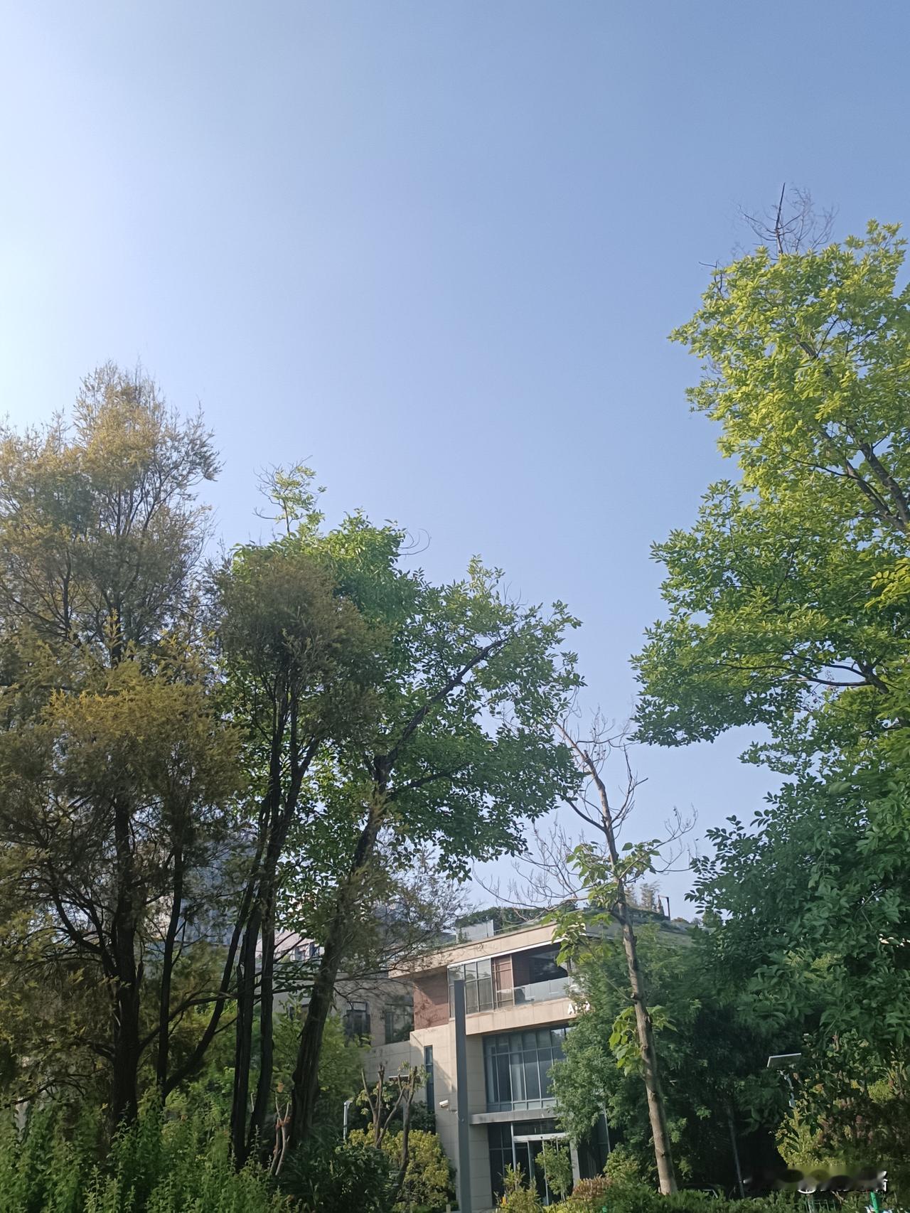 小孩子的快乐好简单，
捕鱼玩玩，
篮球机投投，
哪怕坐在旁边看，
也是开心的。