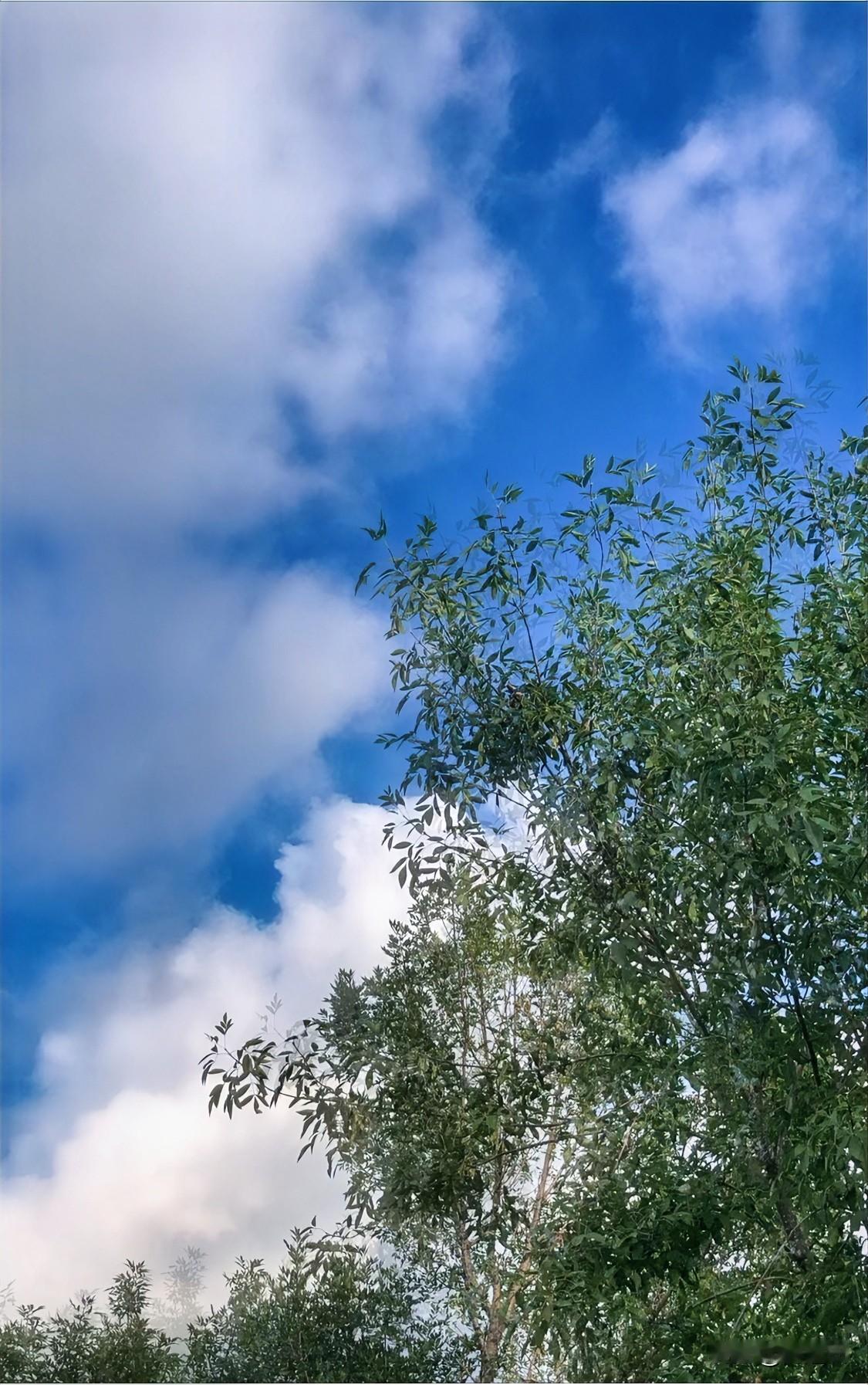 老祖宗传下来的东西还是值得考究的！

果然，昨天中午时辰立秋，到了下午，虽然有大