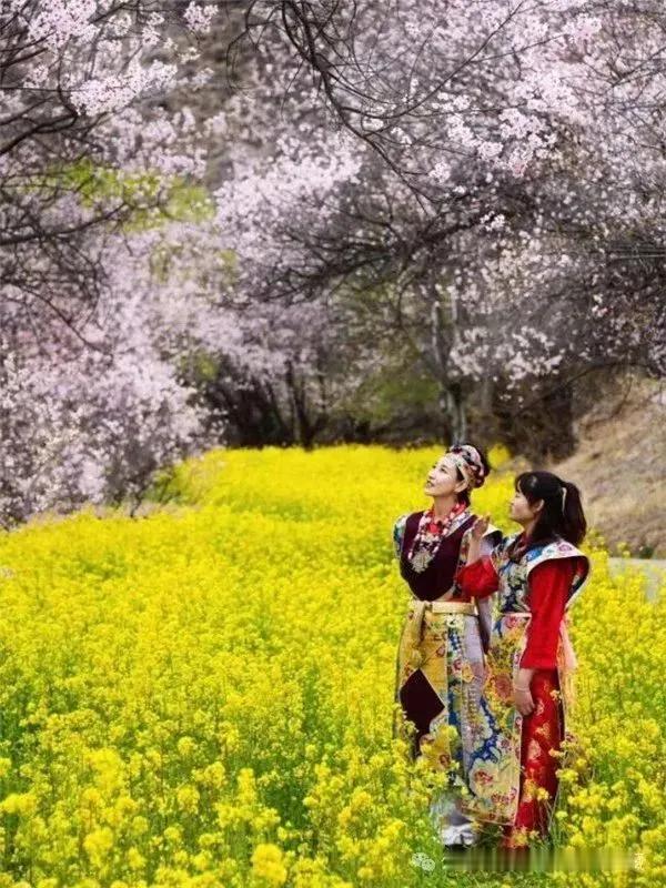 扎木，当年波密土王建都的地方。四周森林茂盛，气候温暖，雨水充沛，地里的青稞、小麦