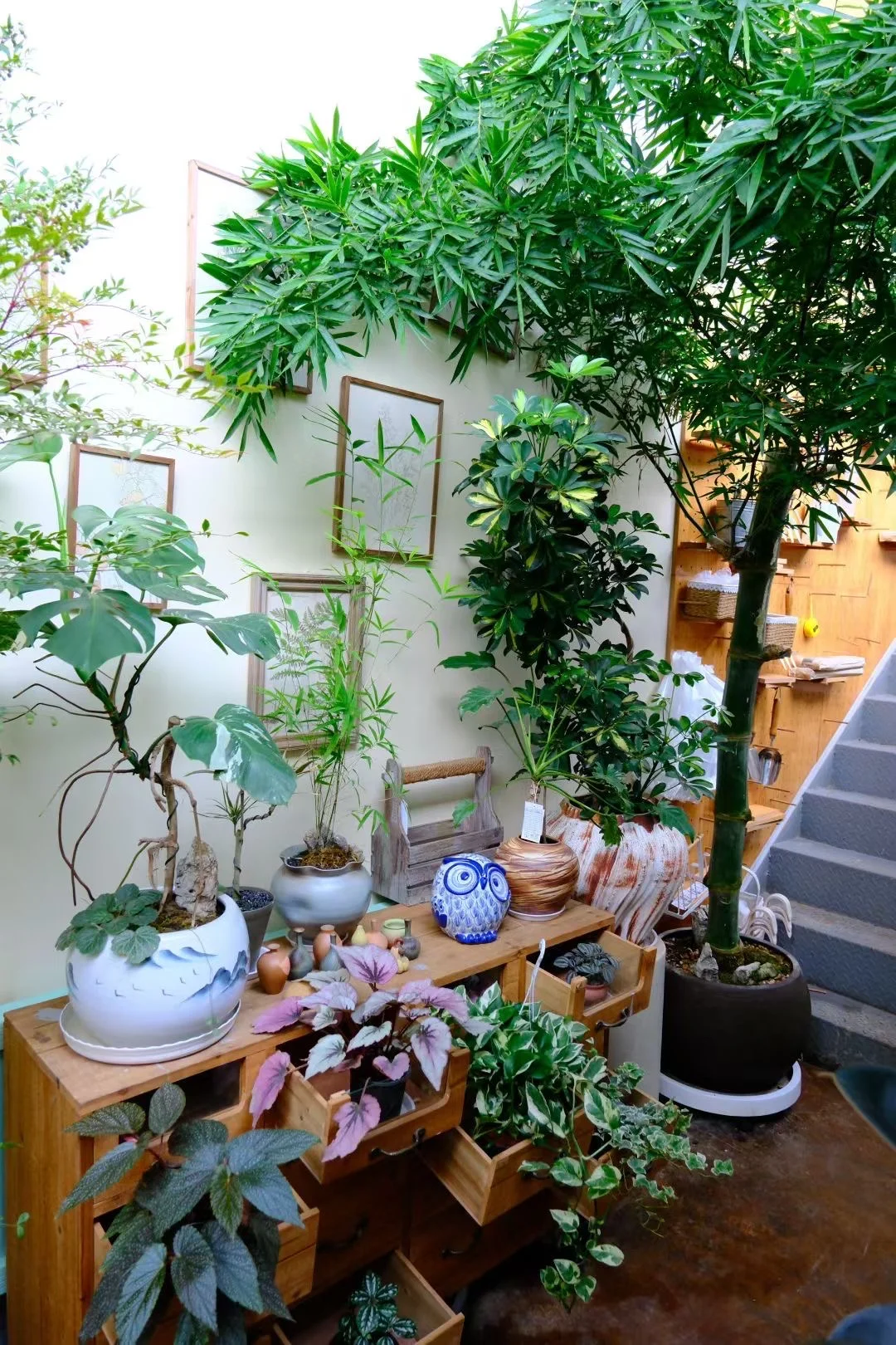 贵阳｜最有品味的植物店