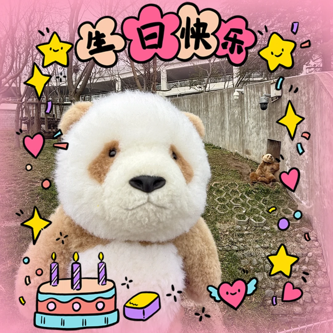 七仔跟我同一天生日，不接受反驳