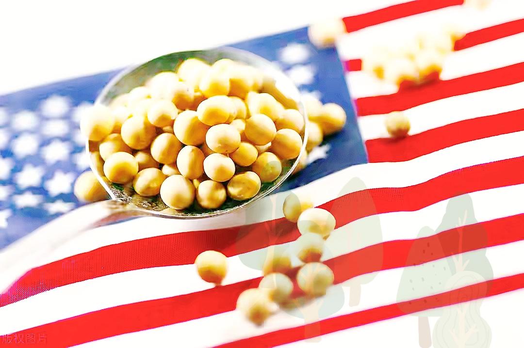 还没访华就施压，要中国买7500万吨大豆
 
特朗普访华在即，美国先急了，直接要