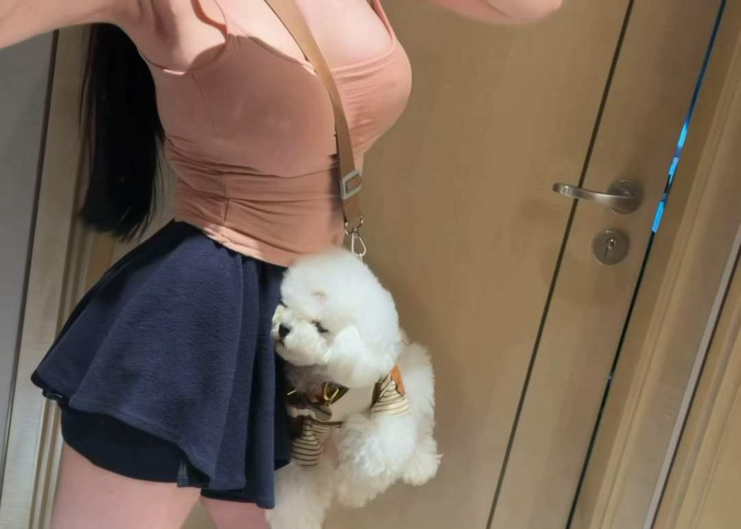 喜欢我的小狗吗🐶  南昌·滕王阁