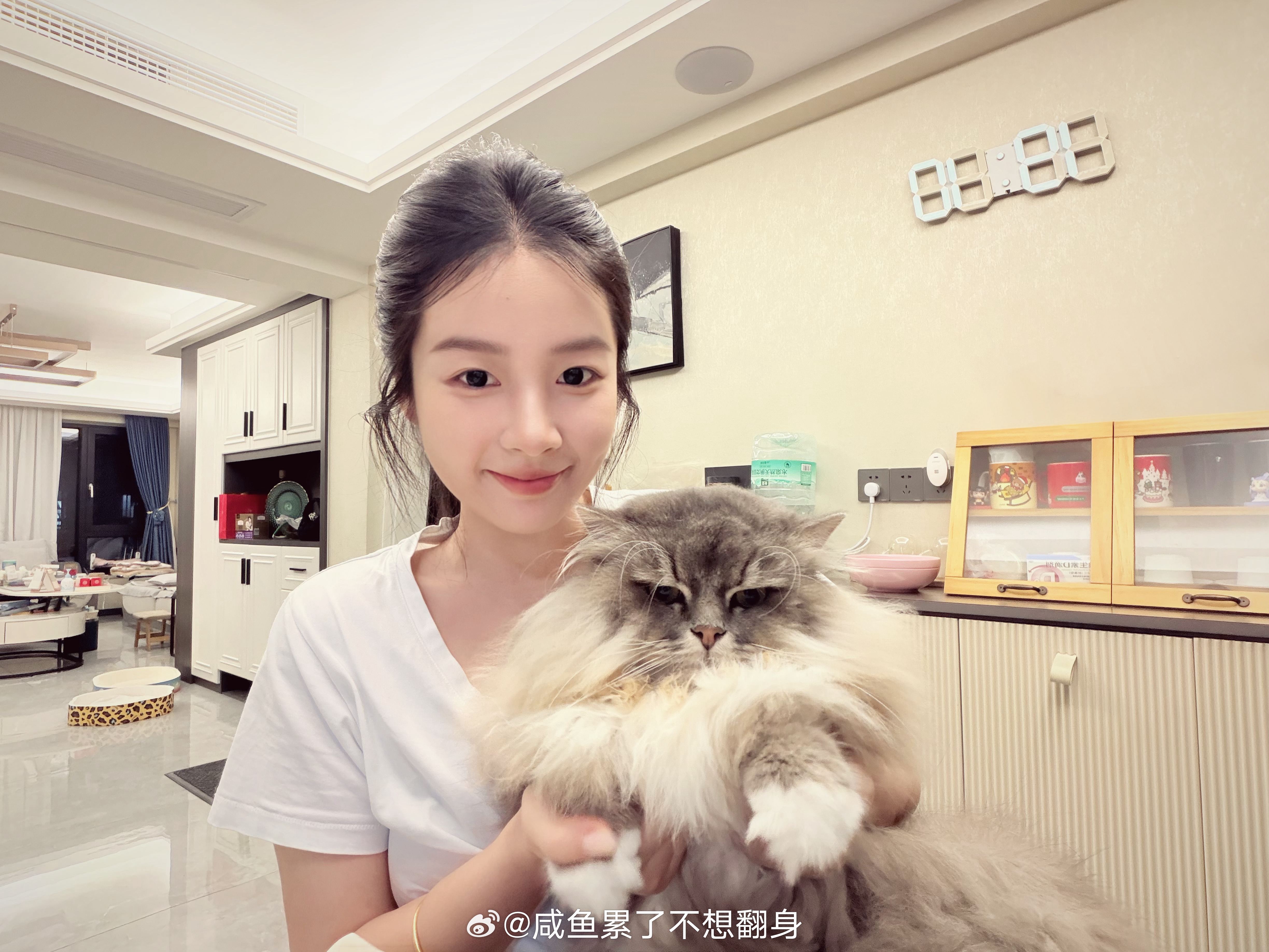 墩墩 
