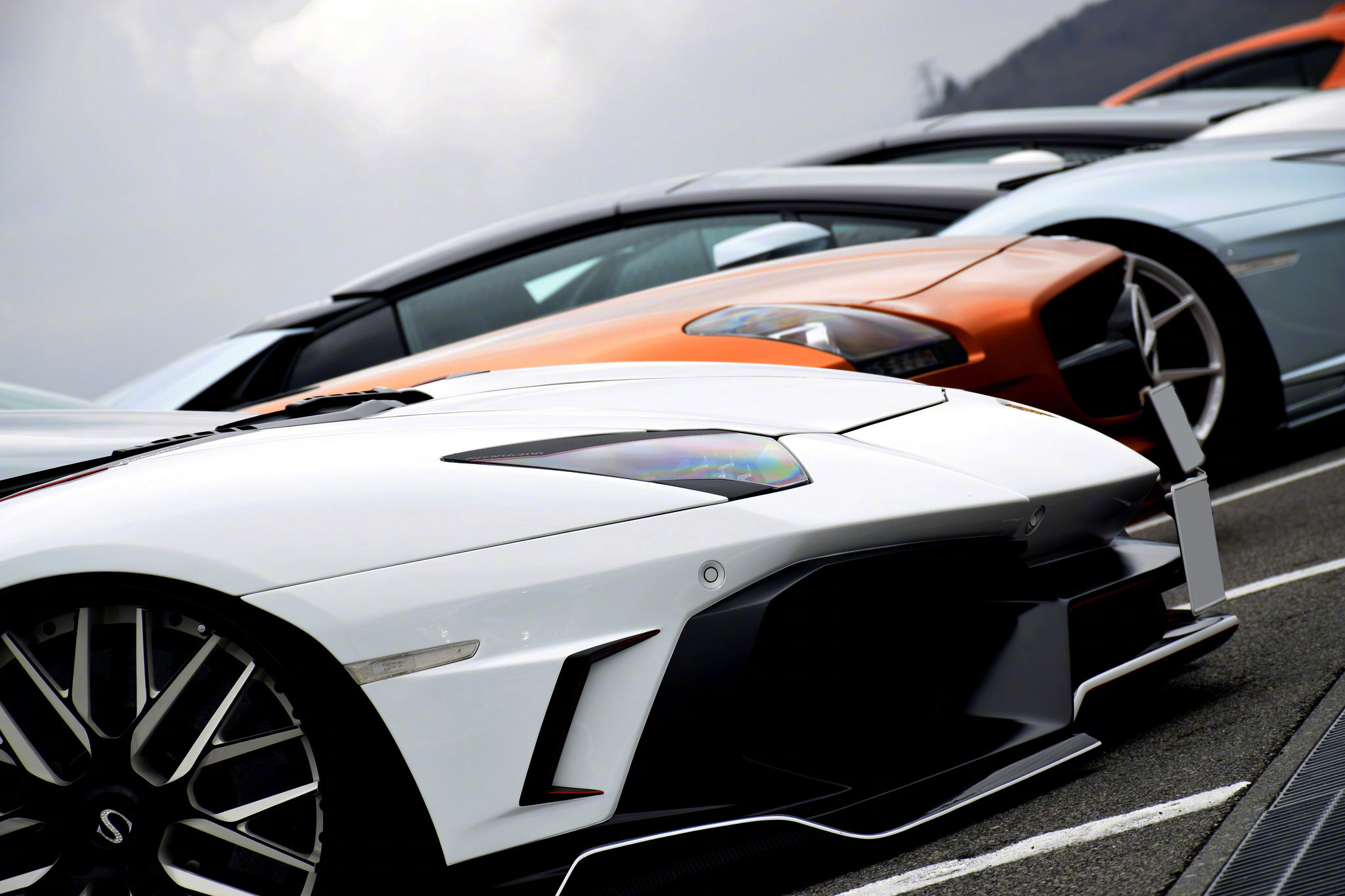 一头白色大蛮牛！！！