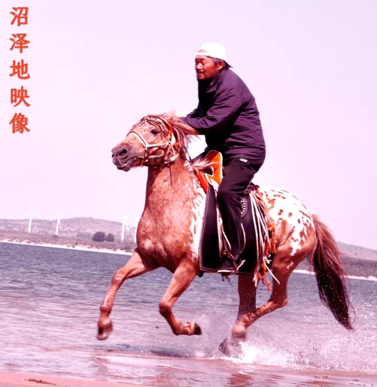 《驰骋的鹿儿马》