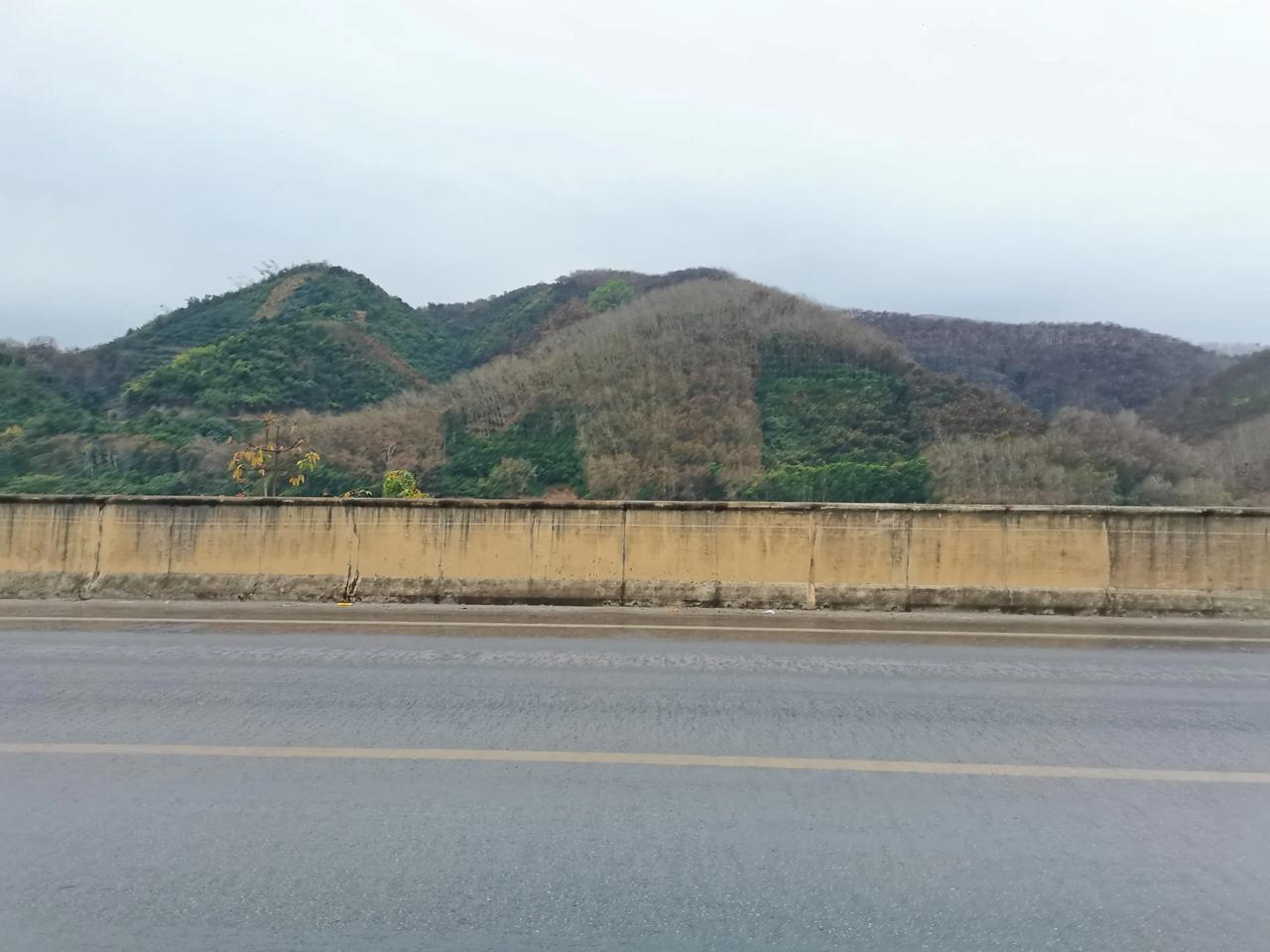 可以分享一张秋景树叶的照片吗现在是西双版纳落叶季，这里的景象与北方不一样，树枝上