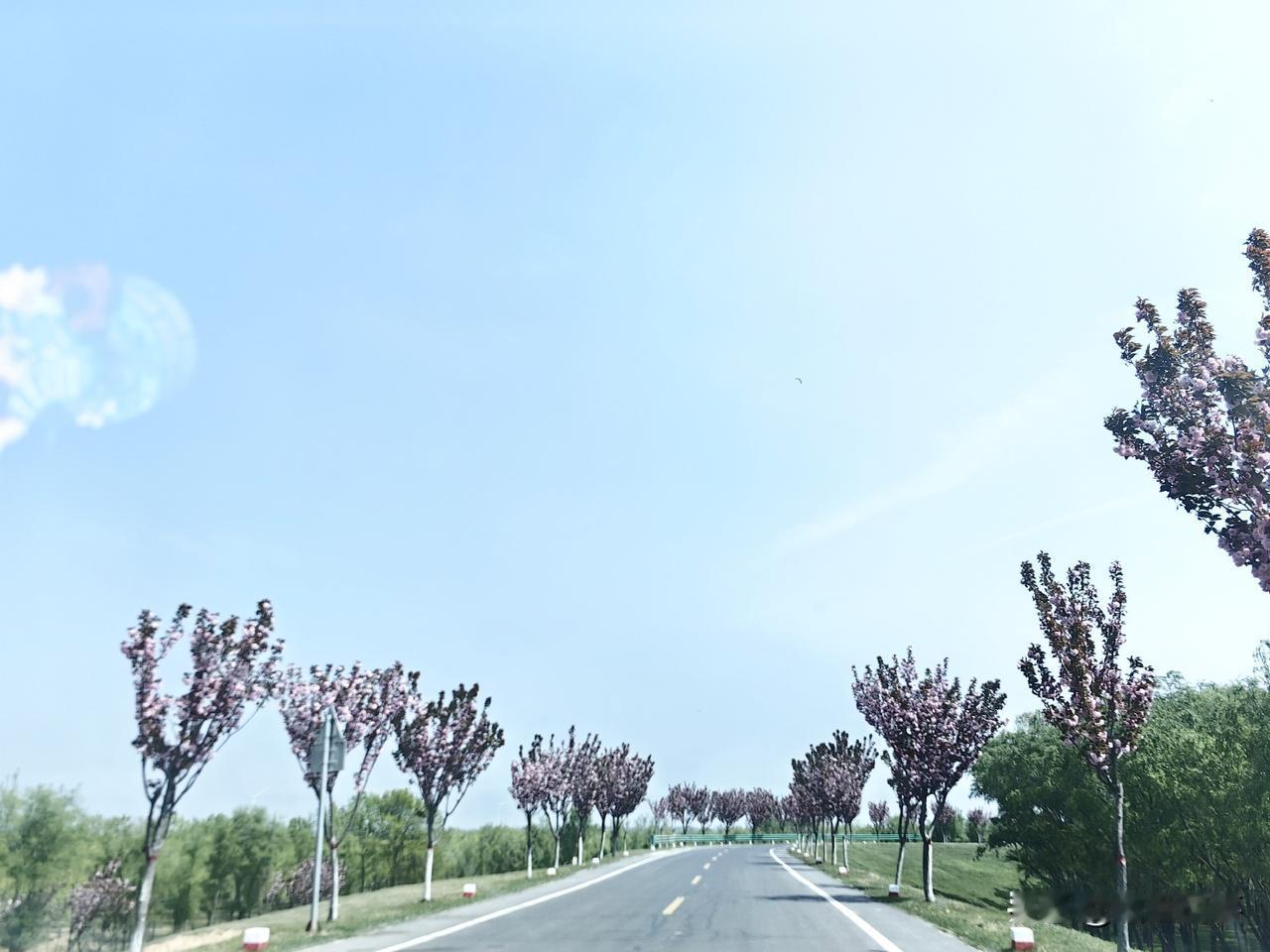 急性白血病能治愈吗?
我是2019年确诊的
急性髓系白血病

已经过去七年了
结