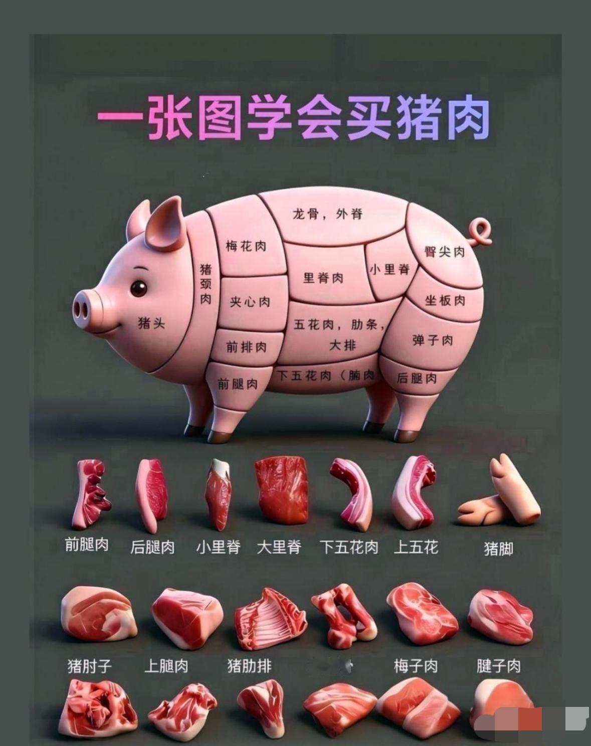 张图认识全猪各个部位：龙骨梅花肉、里脊五花肋排、前后腿腱子肉，炖炒烧烤各有所选，