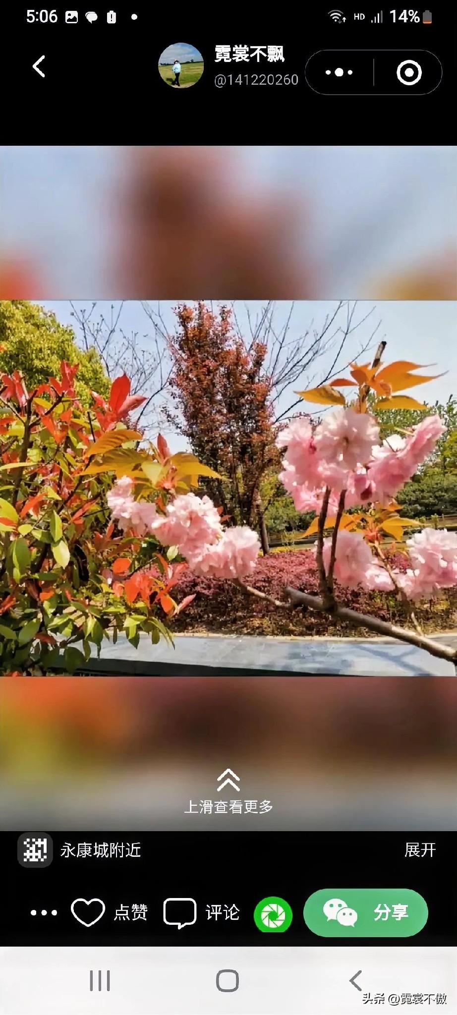 “雪落梅园诗满树，香飘原野花溢锦”，这两句诗堪称神来之笔，将冬日的美景与春日的芬
