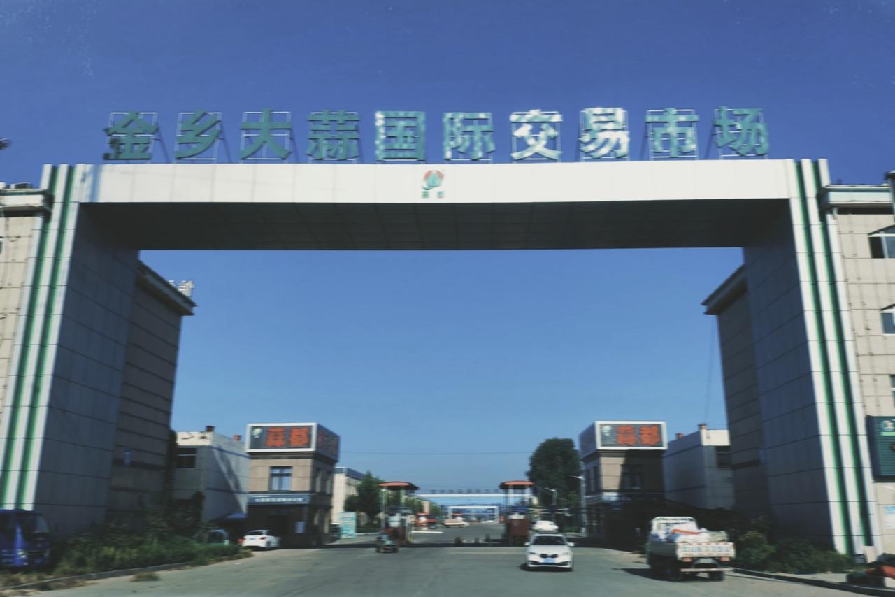 提起大蒜想必大家都不陌生，大蒜是厨房中常见的养生调味品，经常吃大蒜或可使寿命延长