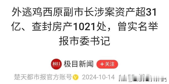 鸡西原副市长被查封房产1021套涉案金额超31亿，
这个已经创造贪腐被查封房产世