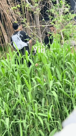 张泽禹为自己的聪明竖了大拇指感觉张泽禹就是我的欢乐源泉，总能给我们带来很多的笑点