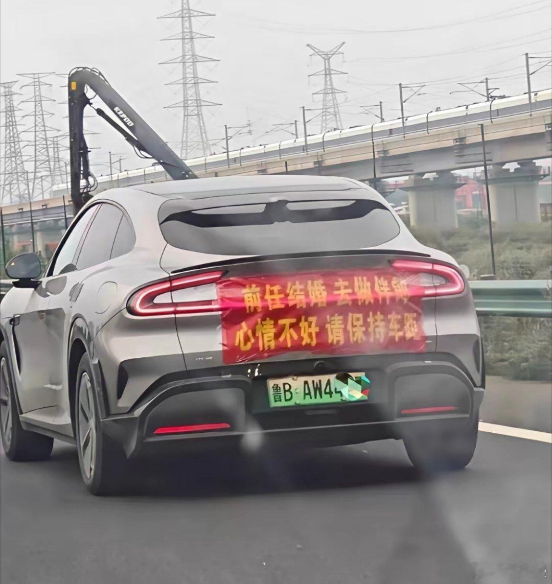 这是去砸场子的吧