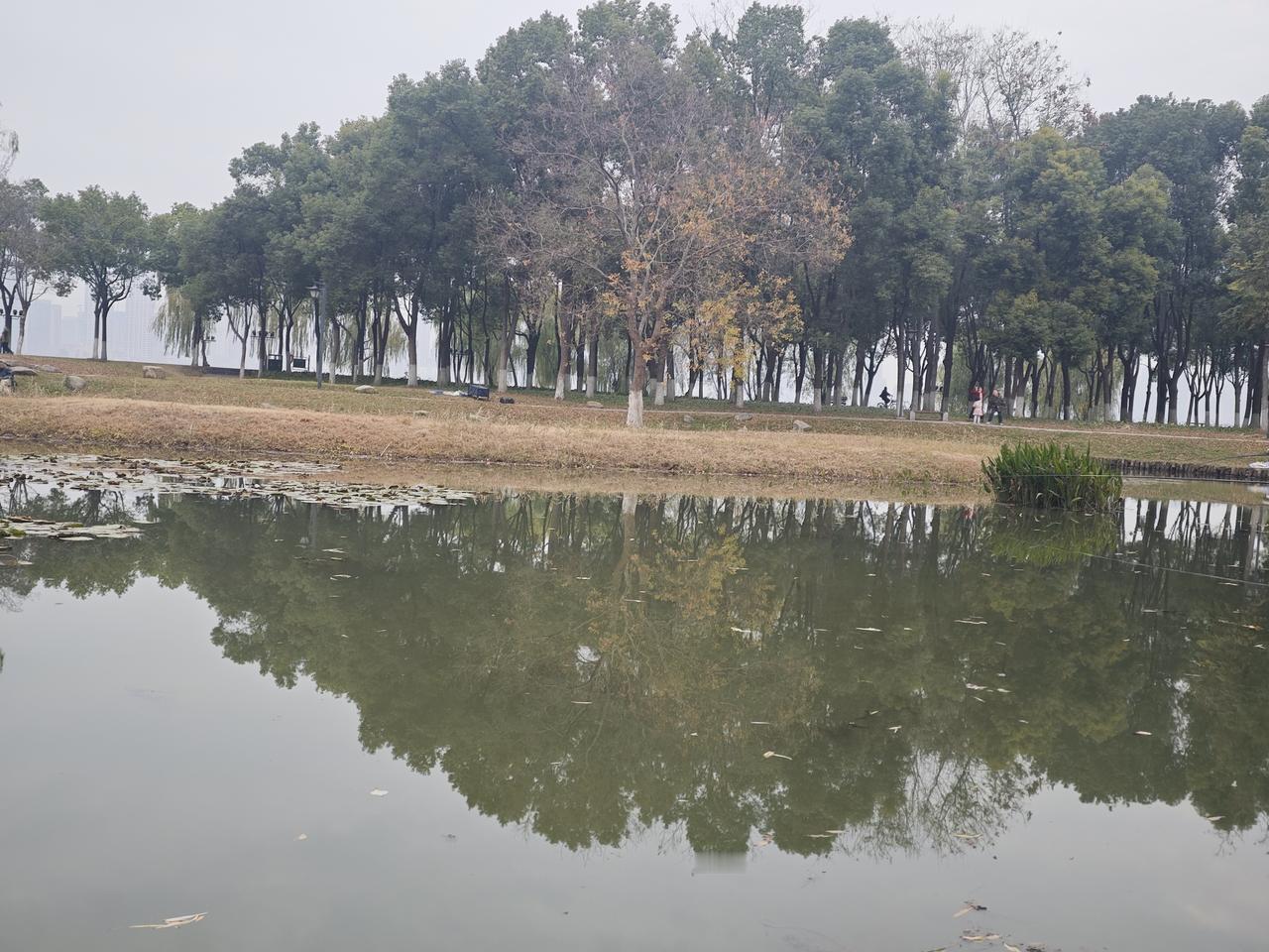 务实的地缘生存逻辑：新加坡对日支持源于战略安全与规则依赖

新加坡对日本的支持并