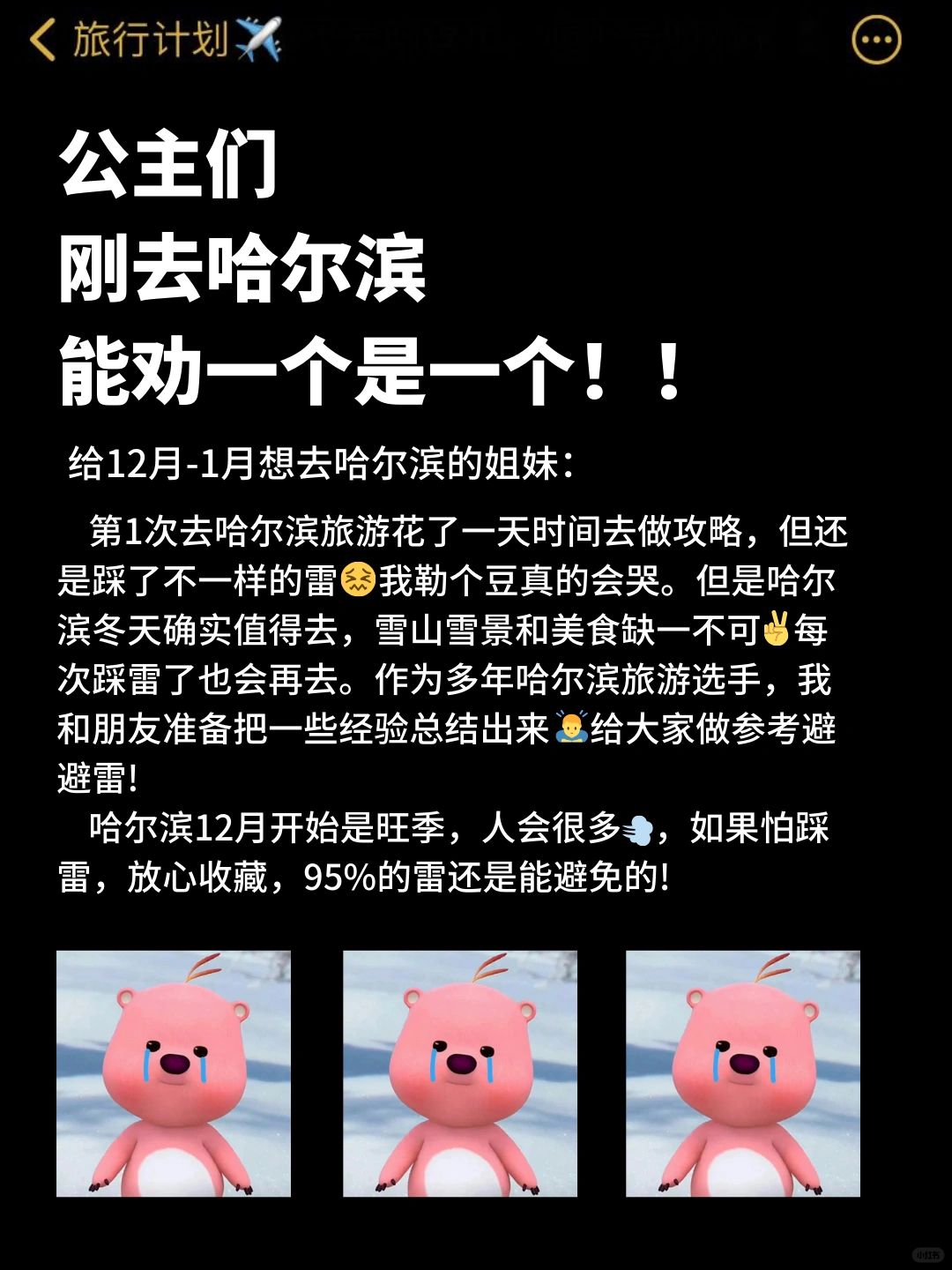 想去哈尔滨的公主们！能劝一个是一个✨
