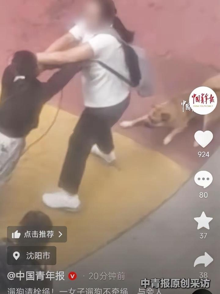 辽宁沈阳，一女子小区遛狗不牵绳，狗把路人吓到后不但不道歉，还动手打人，结果狗“护