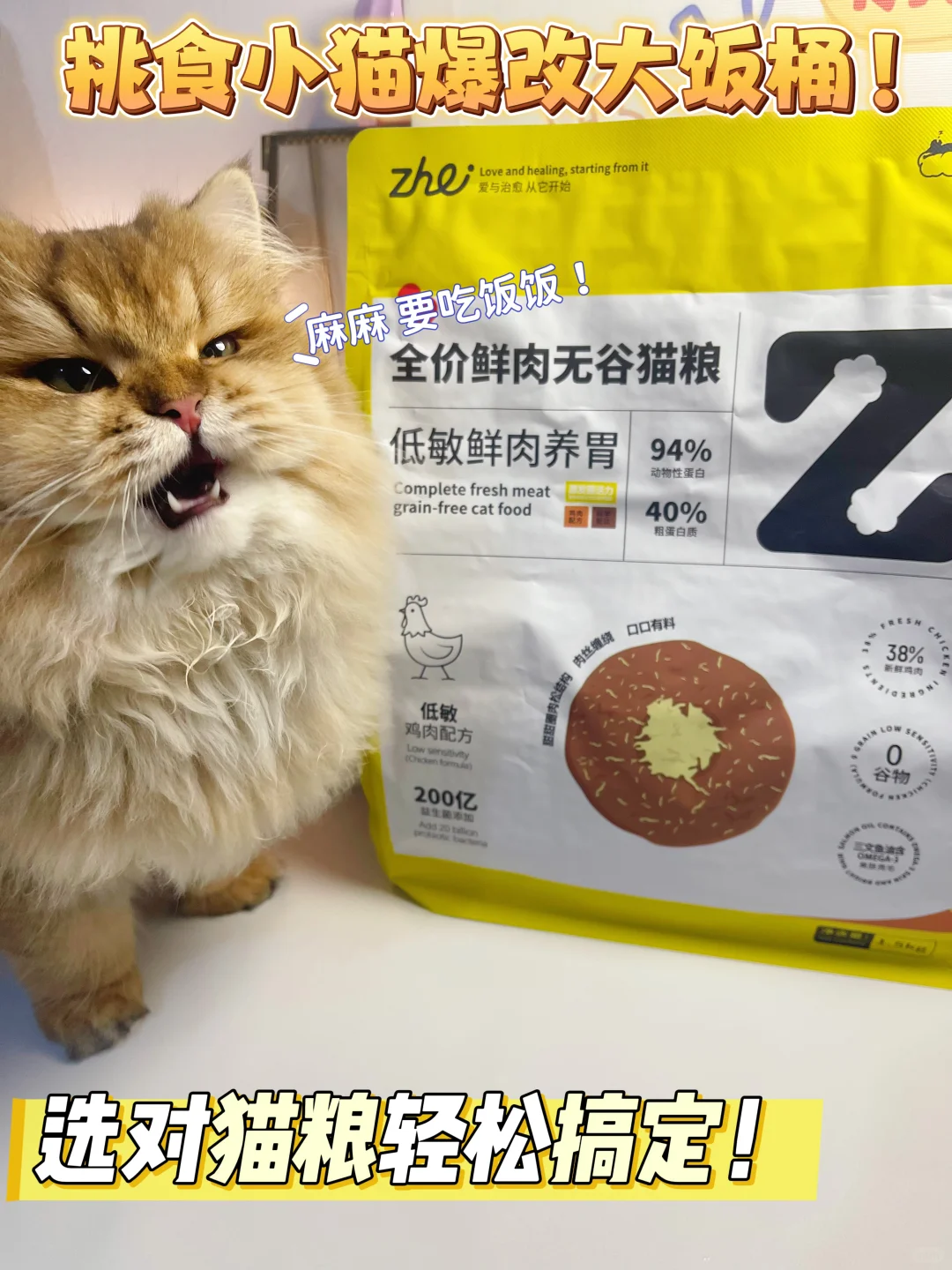 挑食小猫爆改大饭桶｜选对猫粮轻松搞定