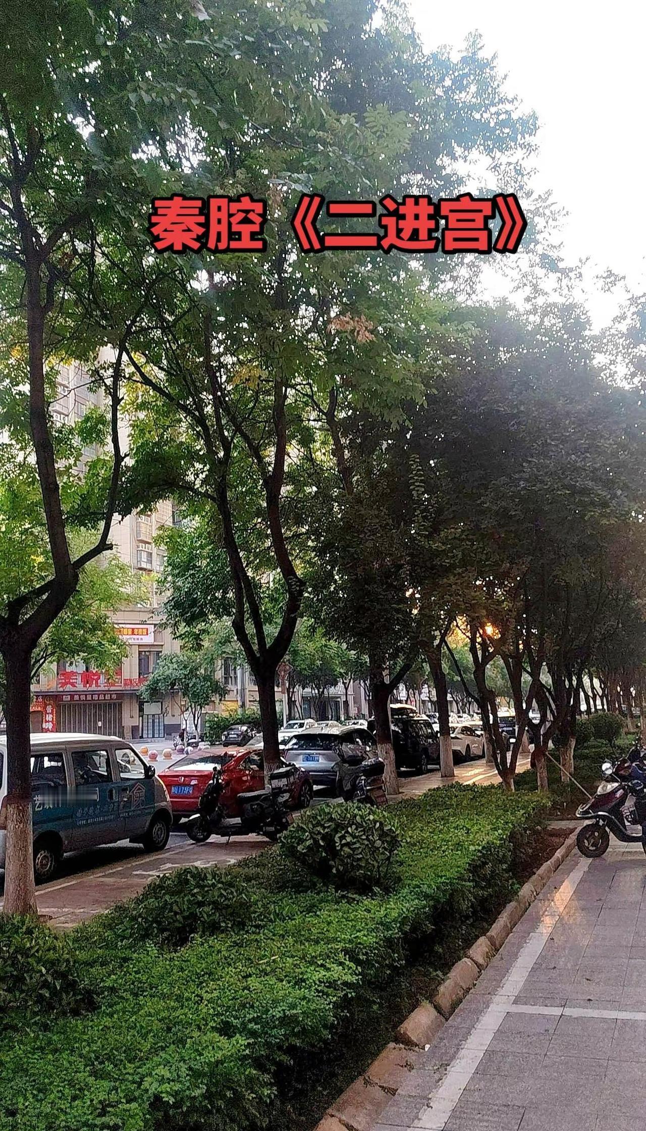 秦腔名家名段赏析